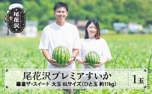 尾花沢プレミアすいか 羅皇ザ・スイート 大玉 6Lサイズ(約11kg~)  1玉 2026年産 令和8年産 nf-su6xr1