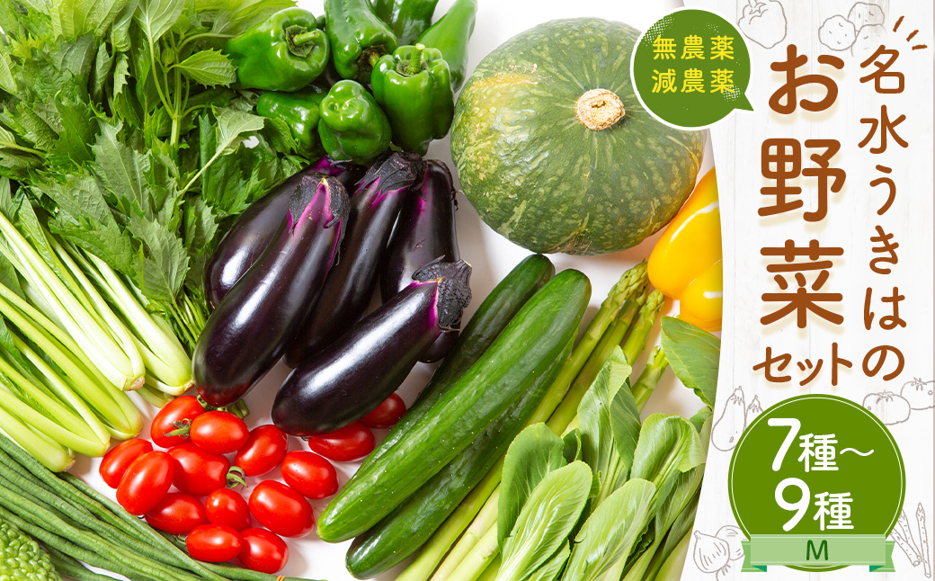 UIC 名水うきはの無農薬減農薬お野菜セットM