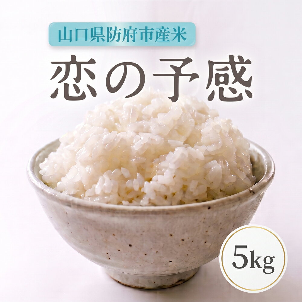 【ふるさと納税】恋の予感 5kg カレー食堂コモやん 山口県 防府市 A-F39 お米 白米 米 精米 5kg ブランド米 ギフト 減農薬 縁起物 贈り物