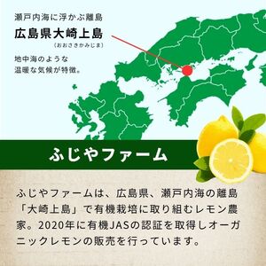 グリーンレモン 約2kg 有機JAS認証取得 フルーツ 果実 広島県産有機 オーガニックレモン 10~11月発送予定 国産 瀬戸内レモン 大崎上島 送料無料 産地直送 ふじやファーム