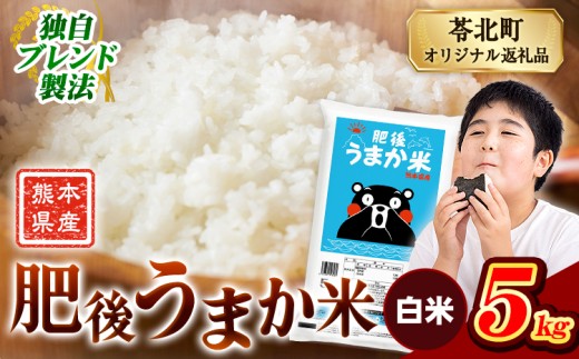 米  熊本県産 肥後うまか米 5kg   白米 《7-14日以内に出荷予定(土日祝を除く)》精米 こめ  コメ お米 おこめ ブレンド米熊本県産  コメ お米 おこめ