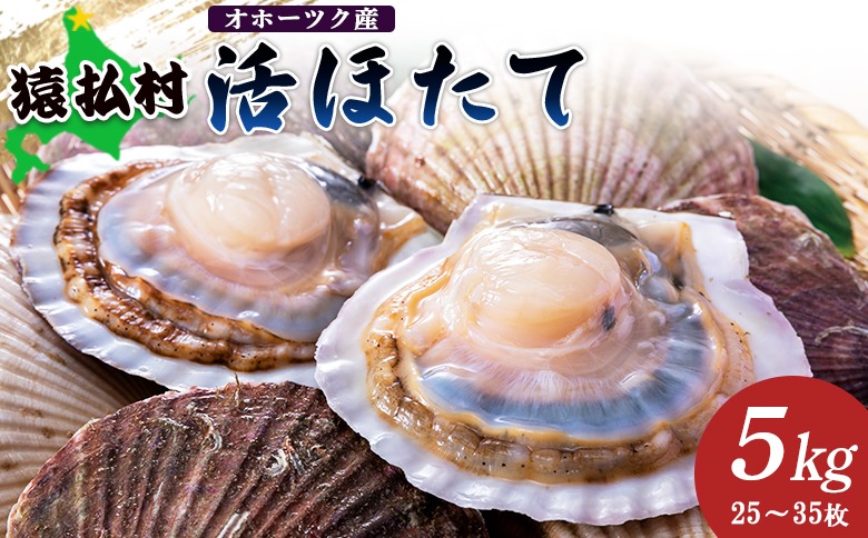 「活ほたて」5kg（25～35枚）　オホーツク産【1601201】
