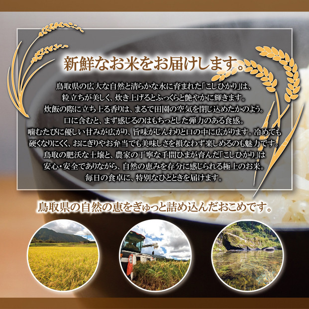 1108.令和7年産　こしひかり玄米　5kg