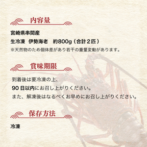 HRISR-80【先行予約・数量限定】<生冷凍>宮崎県串間産 天然伊勢エビ(約800g・2匹) 【豊漁丸】