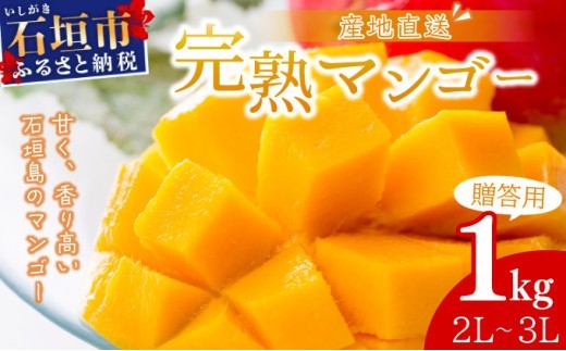 2L～3L マンゴー2～3玉（約1kg）＜先行予約＞【2027年6月から順次発送】【 産地直送 旬 フルーツ 新鮮 完熟 マンゴー 石垣 沖縄 】KP-024