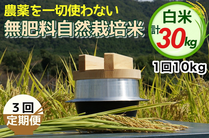 
                  新米 令和8年産 米 自然栽培米 にこまる 白米 10kg × 3回 30kg＜農薬を一切使わない無肥料栽培＞ 京都丹波産 無農薬米栽培向き 厳選品種 精米したて ※2026年10月～発送
                