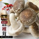 【ふるさと納税】《先行予約》菌床しいたけ 1kg 約100g×10パック 枚数おまかせ 国産 椎茸 シイタケ 生しいたけ きのこ キノコ 鍋 すきやき すき焼き ［Q2368wx］10000円 《hida0307》