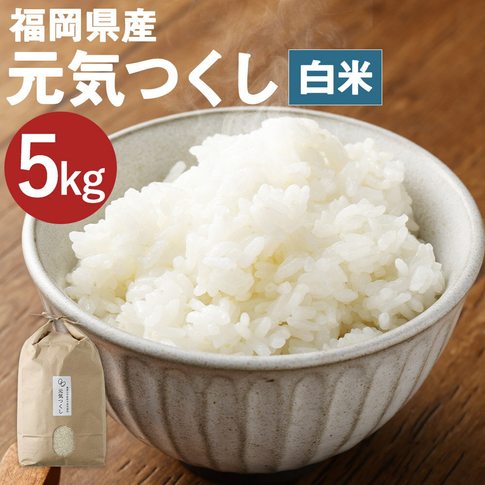 【ふるさと納税】福岡県産 元気つくし 白米 5kg お米 精米 九州産 栽培期間中肥料・農薬・除草剤不使用 送料無料【2025年11月上旬より順次発送予定】