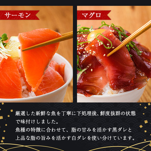 海鮮 お魚漬け丼 食べ比べセット(5種) ぶり 真鯛 カンパチ マグロ サーモン 定期便 食べ比べ セット 簡単 便利 小分け 個包装 まだい 鰤 鮪 お取り寄せ 海鮮丼 時短 【UZ-11】【請関水