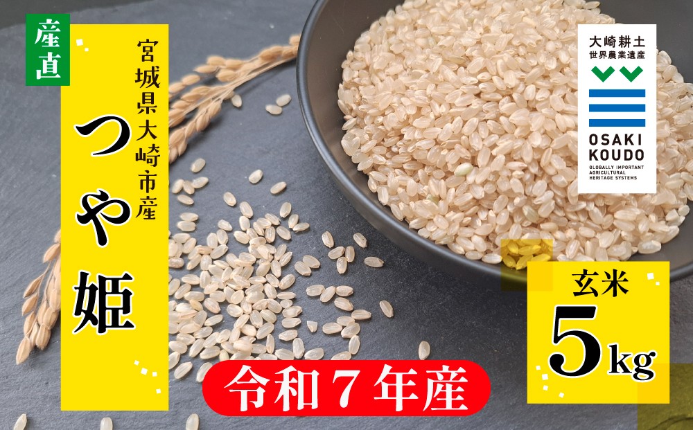 
                  【令和7年産】宮城県大崎市古川産つや姫〈玄米〉5kg｜艶やかで甘み豊かな食味
                