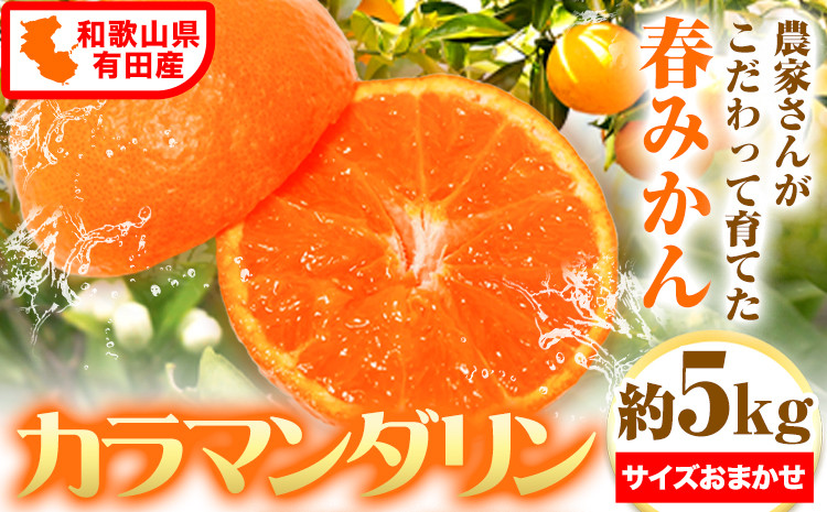 
            和歌山 有田産 カラマンダリン 約5kg （サイズおまかせ） 厳選館 《2026年4月上旬-5月中旬頃出荷》 和歌山県 日高町 送料無料 柑橘 柑橘類 オレンジ みかん 蜜柑 st-p
          