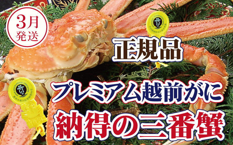 
                  越前がに × 1杯（三番蟹）桐箱入り！納得のプレミアム越前がに【雄 ズワイガニ かに カニ 蟹 姿 生 ボイル 冷蔵 福井県】【3月発送分】希望日指定可 備考欄に希望日をご記入ください [e37-x008_03]
                