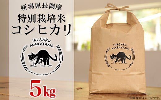 L4-K051A新潟県長岡産 特別栽培米コシヒカリ 5kg
