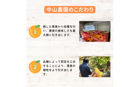 【期間限定・3/31まで】紅八朔4kg※1月下旬から順次発送予定※ / 和歌山県 はっさく フルーツ 果物 柑橘 田辺市 みかん 【nak012-1】