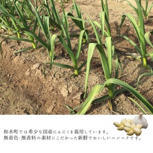 にんにく 九州産 冷凍 ムキにんにく 2kg