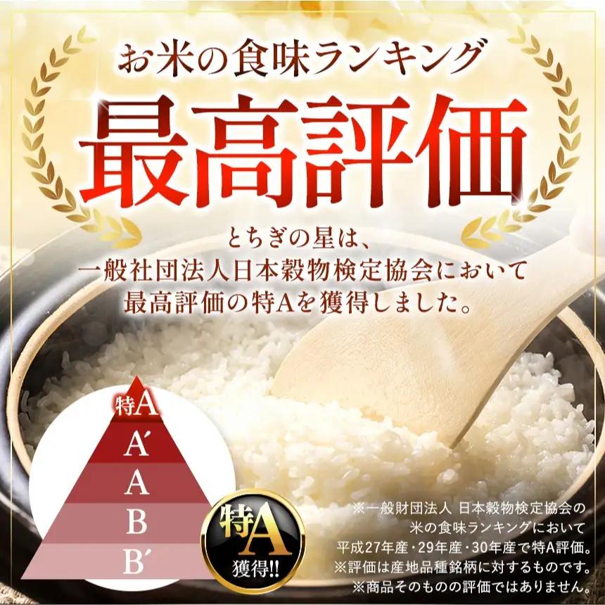 【令和8年産 新米】 【定期便12回】栃木県産 お米 とちぎの星　（無洗米） 20kg 【2026年秋以降発送】 |  栃木県 矢板市 【栃木県共通返礼品 真岡市産】