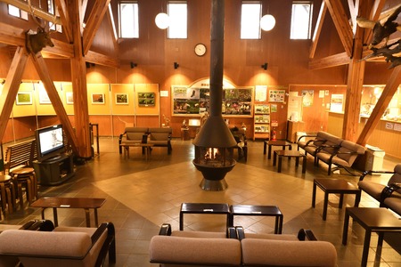 【返礼品なし】釧路湿原を未来へつなぐ自然保護活動支援 感謝状のみ贈呈 《1口 10,000円》