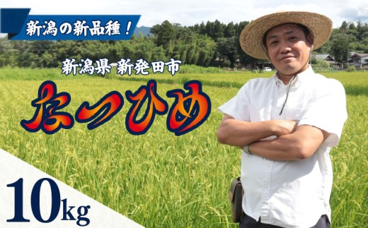 【最短1週間発送!】 令和8年産 なつひめ 10kg 5kg×2袋 お米 こめ ご飯 ごはん おいしい 新潟 新潟県 米 10kg 新発田産 新潟産 朝食 昼食 夕飯 炊きたて 精米 ブランド watasho014