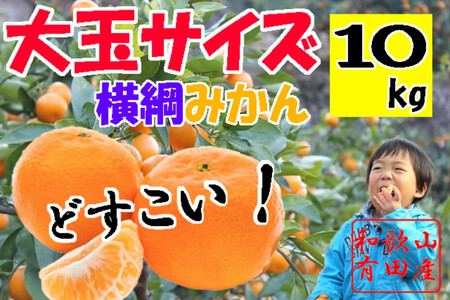 大玉有田みかん 10kg 2L・3Lサイズ