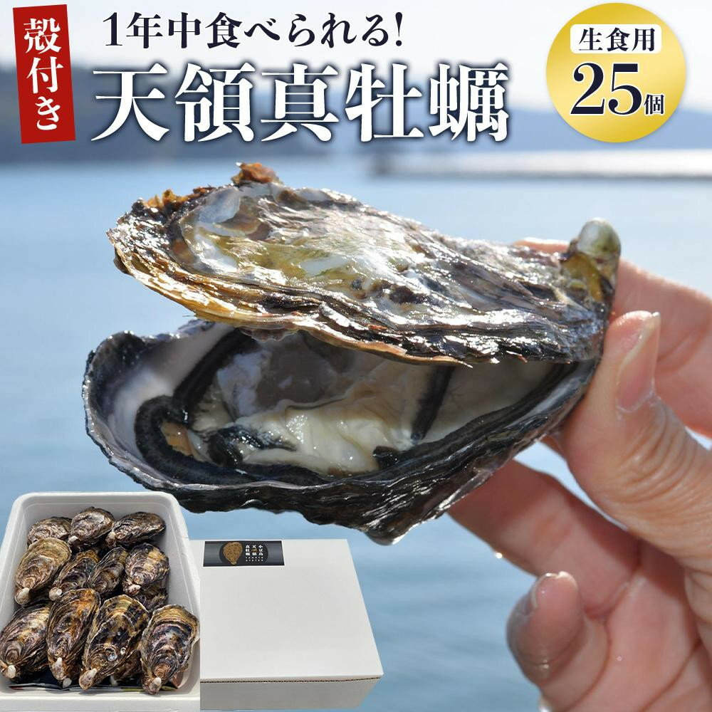 【ふるさと納税】小豆島 天領真牡蠣 (殻付き生食用) 25個セット