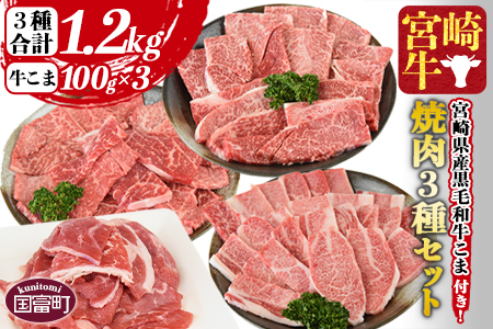 ＜宮崎牛 焼肉3種セット（ウデ・モモ・バラ）合計1.2kg ＋ 宮崎県産黒毛和牛こま切れ 合計300g＞翌々月までに順次出荷【a0380_my_x3】