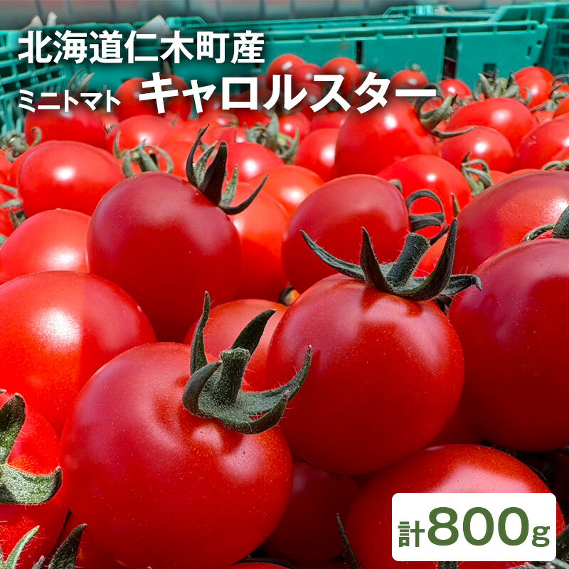【ふるさと納税】[先行受付] 北海道 仁木町産 ミニトマト キャロルスター 800g （32～50粒）トマト 野菜 国産 プチトマト 甘み 使いやすい サラダ お弁当 家庭用 子供に人気 リコピン [REDA FARM]　お届け：2026年7月20日～8月31日