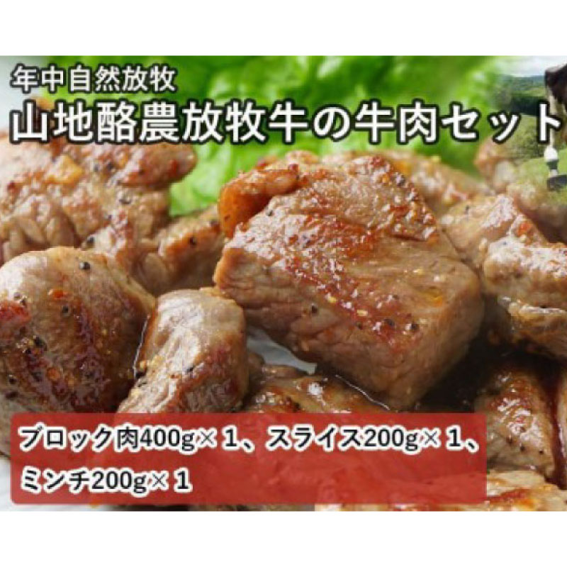 【ふるさと納税】【南国斉藤牧場】山地酪農放牧牛の牛肉3種セット（計800g） | 肉 お肉 にく 食品 南国市産 人気 おすすめ 送料無料 ギフト セット