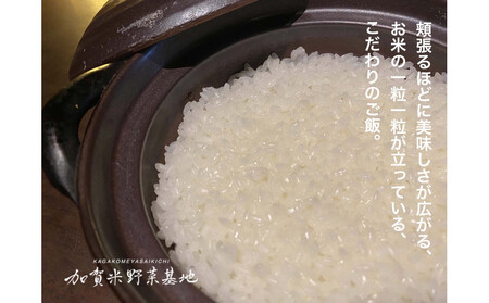 《令和7年産 新米》【お米番付優秀賞受賞農家】日本一粒の大きいお米『いのちの壱』白米20kg