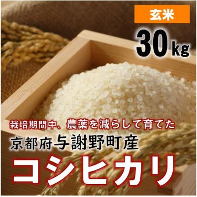 ふるさと納税 与謝野町 令和7年産米　京都丹後産コシヒカリ　玄米30kg　栽培期間中、農薬を減らして育てたお米