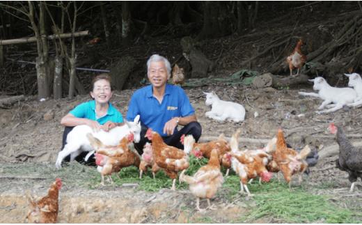 EA03 【自然栽培】計6kg 安心安全♪自然栽培玉ねぎ-4