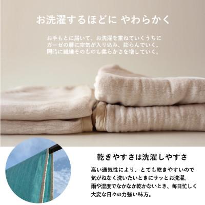 ふるさと納税 蒲郡市 三河木綿 ガーゼケット やわらか速乾  シングルサイズ_せせらぎ【G0304】 |  | 02