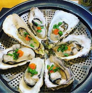 【能登半島地震復興支援】魚介類 牡蠣　/ 能登かき　殻付牡蠣 半缶/約5kg（約40～50個） 専用ナイフ 片手用軍手付 /世界農業遺産「能登の里山里海」｜石川県 七尾市 能登 ※要加熱 ※2026年
