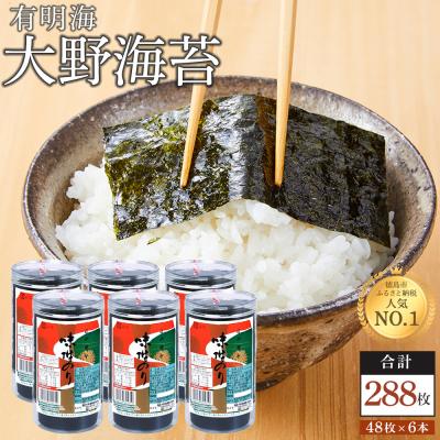 ふるさと納税 徳島市 海苔 乾物 大野海苔 288枚 ( 48枚 × 6本 ) 【AN001】