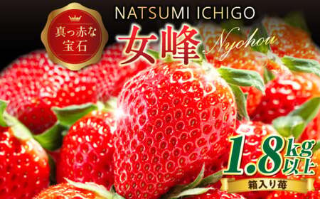 NATSUMI　　ICHIGO　女峰　1.8kg以上　（2025年1月～6月配送）_mk060-001