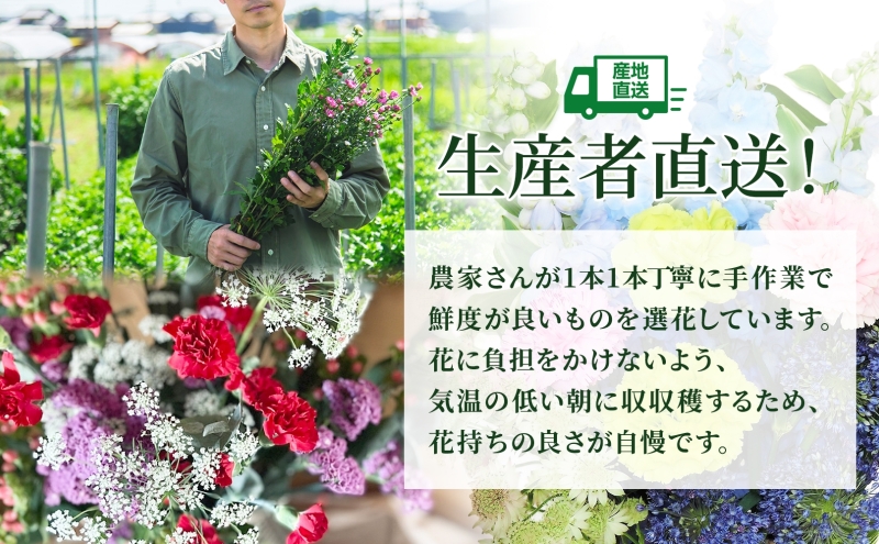 ［2025年10月お届け］生産者直送！旬の花詰め合わせ〔4品種20本以上保証〕
