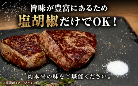 【A4～A5ランク】長崎和牛 極上 ヒレステーキ 300g（150g×2枚）《壱岐市》【野中精肉店】 黒毛和牛 牛肉 和牛 赤身 希少部位 22000円 22000[JGC001]