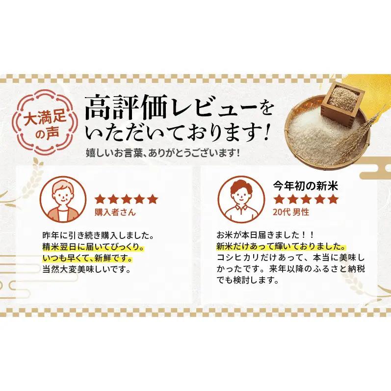 コシヒカリ 新米 10kg 定期便 コシヒカリ
