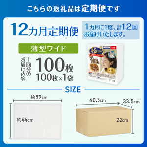 定期便 12回 ペットシーツ 【極】シリーズ 薄型ワイド 100枚 ペット用 犬用 猫用 トイレシーツ 日用品 ペット用品 防災 備蓄 消耗品 ドッグ キャット わんちゃん ねこちゃん 静岡県 富士市