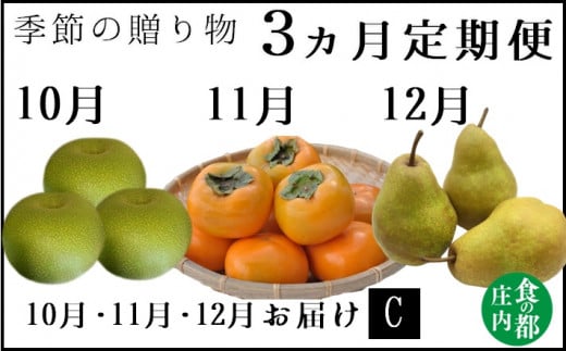 食の都庄内　《10・11・12月お届け-C》旬のフルーツ3ヶ月定期便