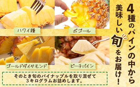 【数量限定！】 国産 パイナップル 約3ｋg (3～5玉) ～なか農園おまかせセット～ ｜鹿児島県 南大隅 産地直送 旬 パイン ハワイ種 ピーチパイン ゴールドダイヤモンド ボゴール なか農園 フル