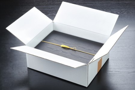 生産牧場指定　料亭こだわりの近江牛A4等級以上　焼肉用　【600g】【DM04U】