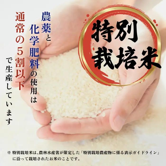 令和7年産 特別栽培米 ななつぼし 2kg【ナナプラザ】米 お米 北海道産 北海道米 特Aランク 国産 白米 コメ 北海道 比布町 ぴっぷ 1021-012