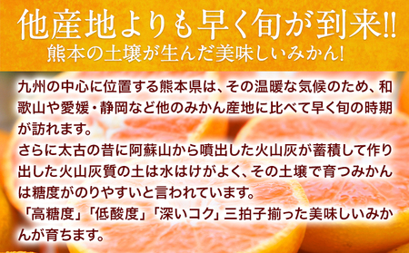 ご家庭用 熊本 大粒みかん 約5kg (3L～5Lサイズ)大玉 みかん 先行予約 熊本 ちょっと 訳あり 傷 たっぷり 熊本県産 熊本県 期間限定 フルーツ 旬 柑橘 長洲町 大粒みかん《2025年1