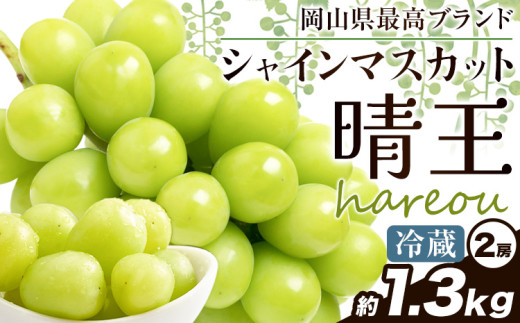 ぶどう [2025年先行予約] シャインマスカット 晴王 約1.3kg (2房)《2025年9月中旬-11月上旬頃出荷》ハレノスイーツ 岡山中央卸売市場店 マスカット 送料無料 岡山県 浅口市 フルーツ 果物 贈り物 ギフト 国産 【配送不可地域あり】 st-p