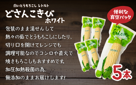 どさんこきびホワイト5本 北海道産 【 ふるさと納税 人気 おすすめ ランキング 野菜 その他野菜 とうもろこし トウモロコシ 国産 ホワイト 白い 大容量 おいしい 美味しい 甘い 北海道 豊浦町 