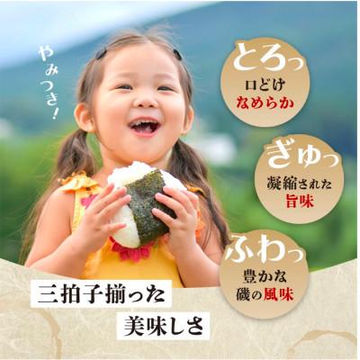ふるさと納税 鹿島市 初摘み海苔　有明育ち　ボトル6本【塩・味・焼　各2本】合計288枚(板のり36枚分) |  | 02