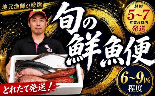 鮮魚 旬 獲れたて セット [6～9匹] 鮮魚便 海鮮 魚貝類 魚介類 鮮魚 旬 獲れたて セット 詰め合わせ さかな おさかな 魚 海の幸 福袋 FISH ごはん 夕飯 おかず 今が旬 刺身 刺し身 おつまみ 晩酌 米 丼 三陸産 岩手県 大船渡市