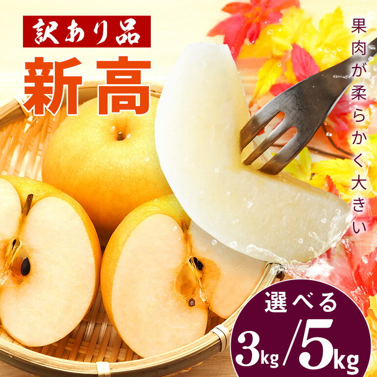 【ふるさと納税】【2025年 先行予約】【数量限定 訳あり】 梨 「新高」選べる 3kg 5kg 大玉 4～14個 柴沼梨園 訳アリ ナシ なし 茨城 新高梨 秋 旬 フルーツ 果物 【9月下旬～10月上旬発送】 秋の味覚 旬の果物 くだもの 大きい サイズ 産地 家庭用 産地直送 送料無料