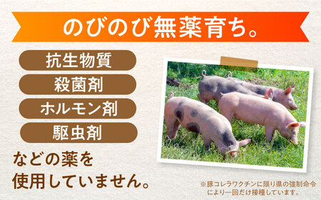 【3回定期便】豚丼セット 豚肉 肩ロース 国産 白川町 / 藤井ファーム[AWAF013]