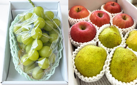 【定期便4回】ノノハナフルーツ 山形市で人気の果物５品種食べきり定期便【令和8年産先行予約】FS25-077